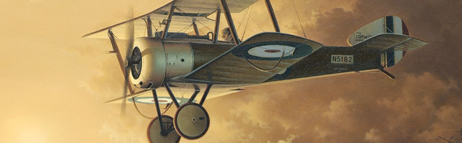 Sopwith Pup painting by Aviation Artist Neil Hipkiss