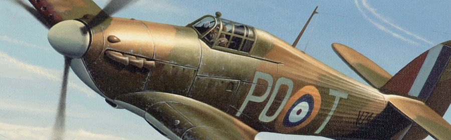 hawker hurricane detail from aviation painting by Neil Hipkiss