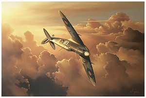 Bob van der Stok Spitfire by Neil Hipkiss 