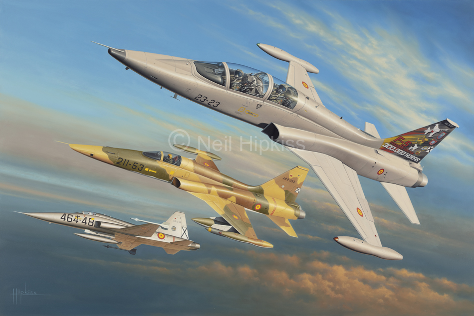Aviation Art - F5