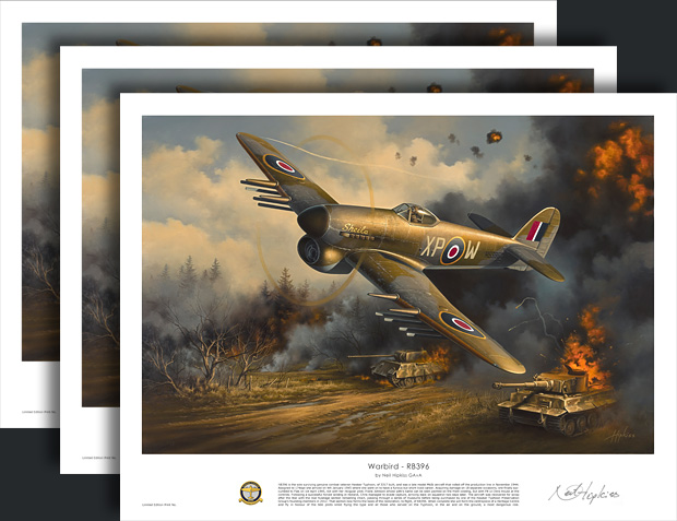 Warbird RB396 prints by Neil Hipkiss